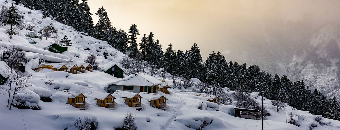 Auli Tour Packages